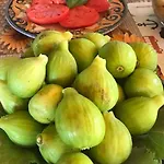 Le Palme Guest house Longobardi