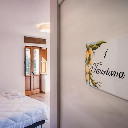 Le Palme Guest house Longobardi