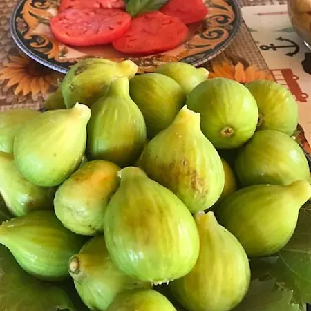Le Palme Guest house Longobardi