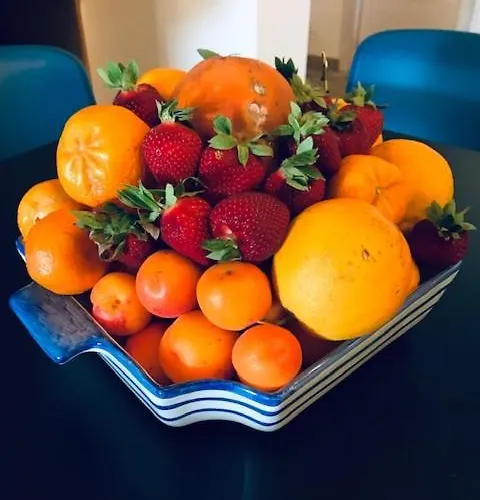 Le Palme 招待所 4*